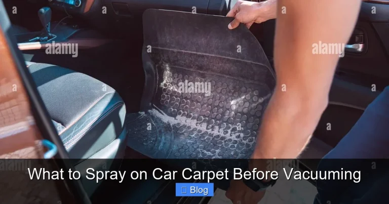 What to Spray on Car Carpet Before Vacuuming