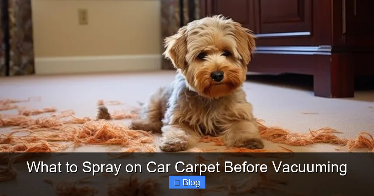 What to Spray on Car Carpet Before Vacuuming