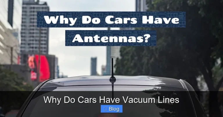 Why Do Cars Have Vacuum Lines
