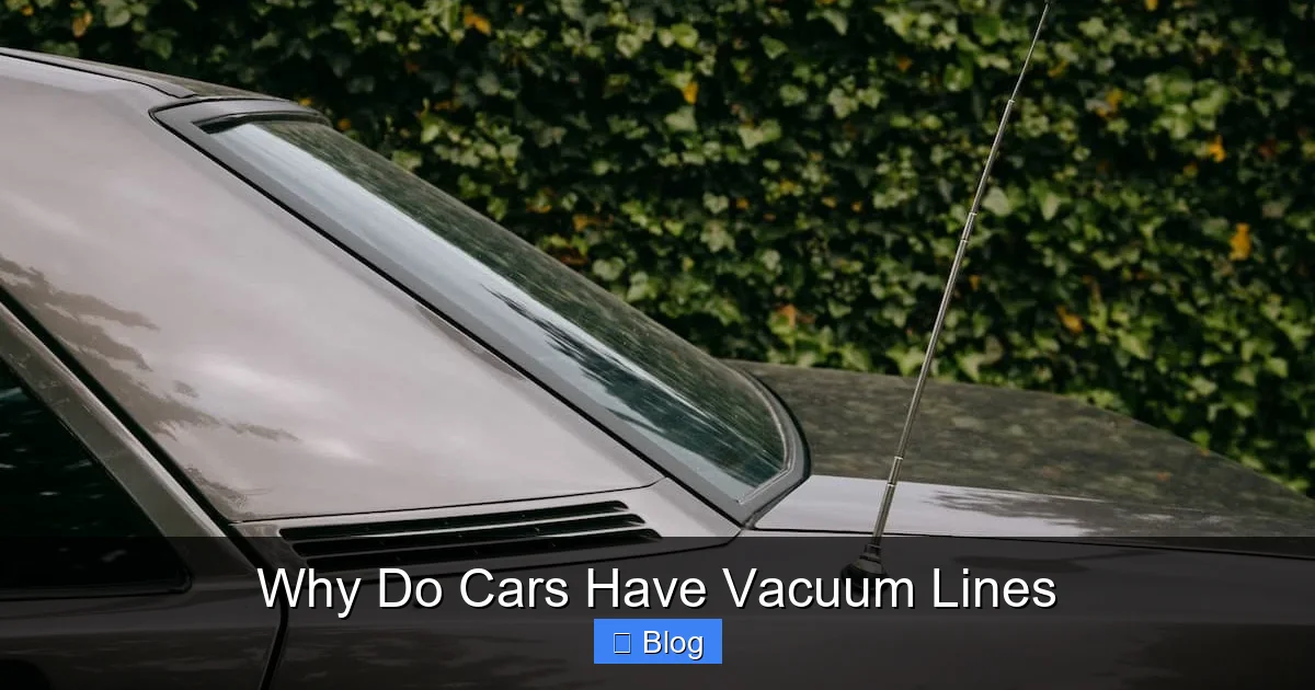 Why Do Cars Have Vacuum Lines