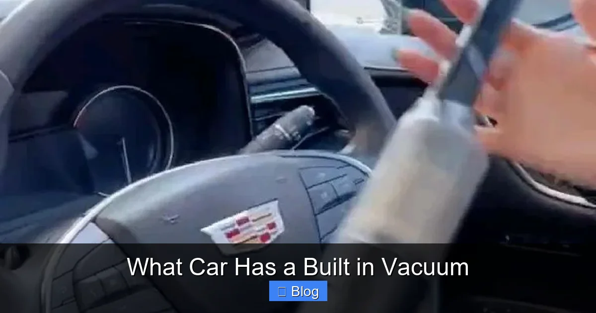 What Car Has a Built in Vacuum