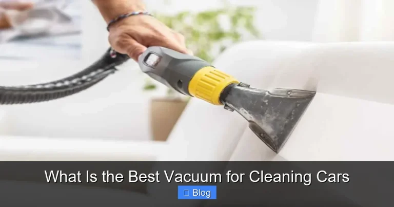 What Is the Best Vacuum for Cleaning Cars