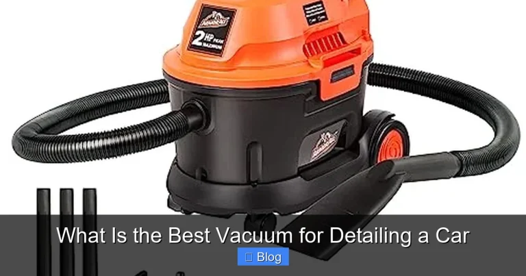 What Is the Best Vacuum for Detailing a Car
