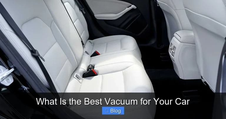 What Is the Best Vacuum for Your Car