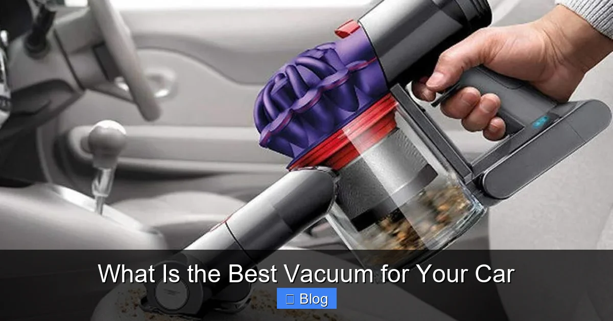What Is the Best Vacuum for Your Car