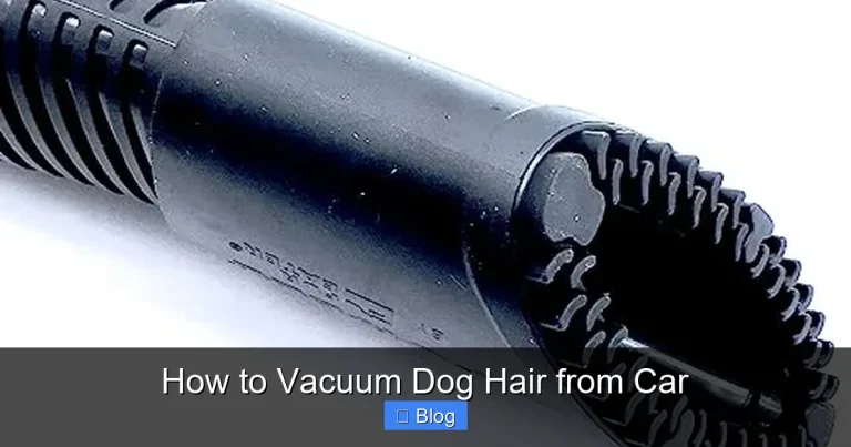 How to Vacuum Dog Hair from Car