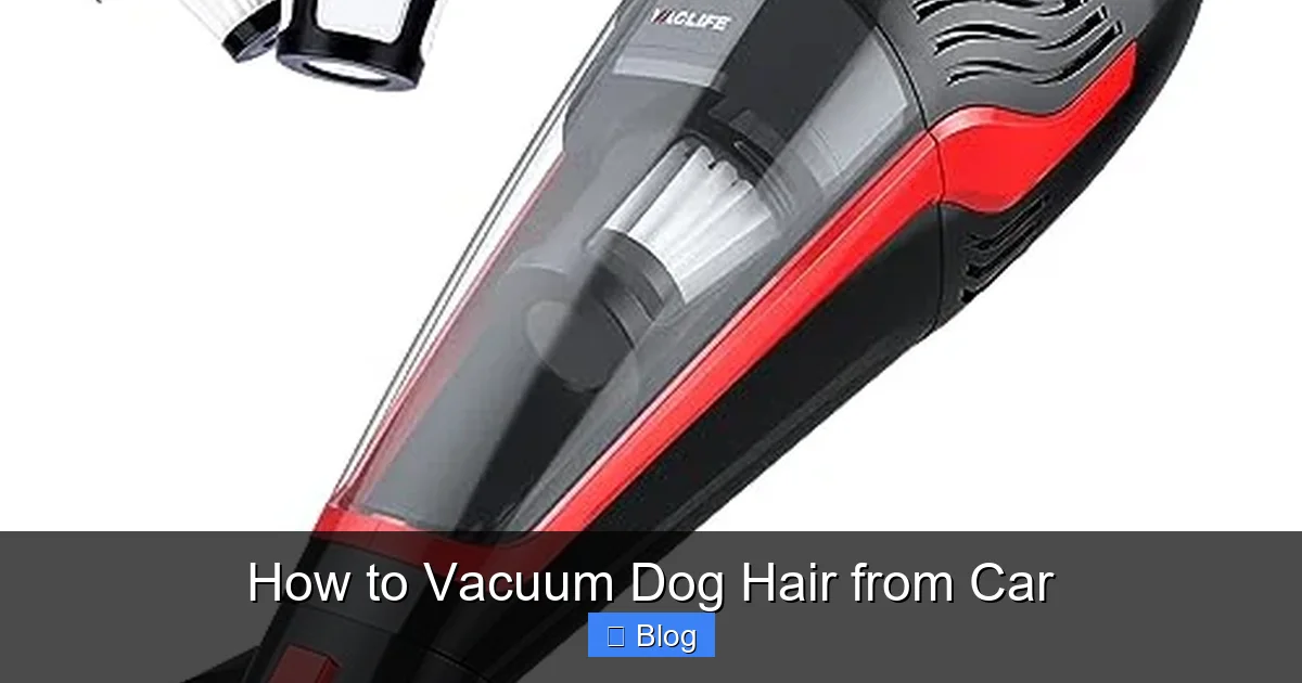 How to Vacuum Dog Hair from Car