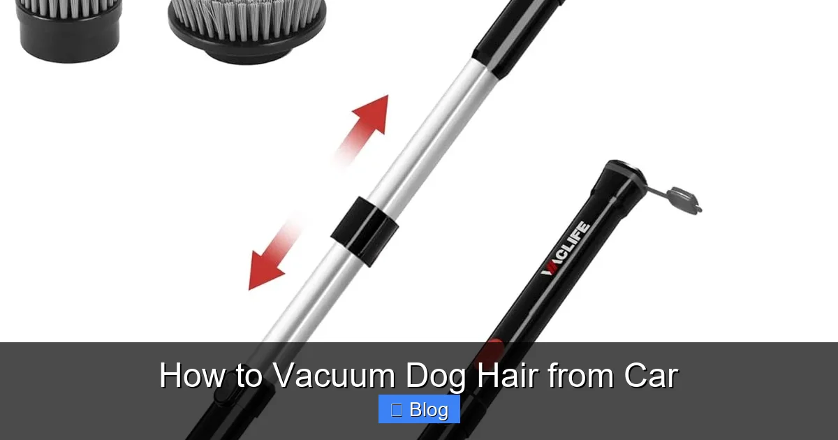 How to Vacuum Dog Hair from Car