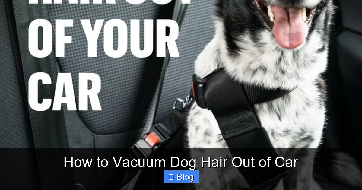 How to Vacuum Dog Hair Out of Car