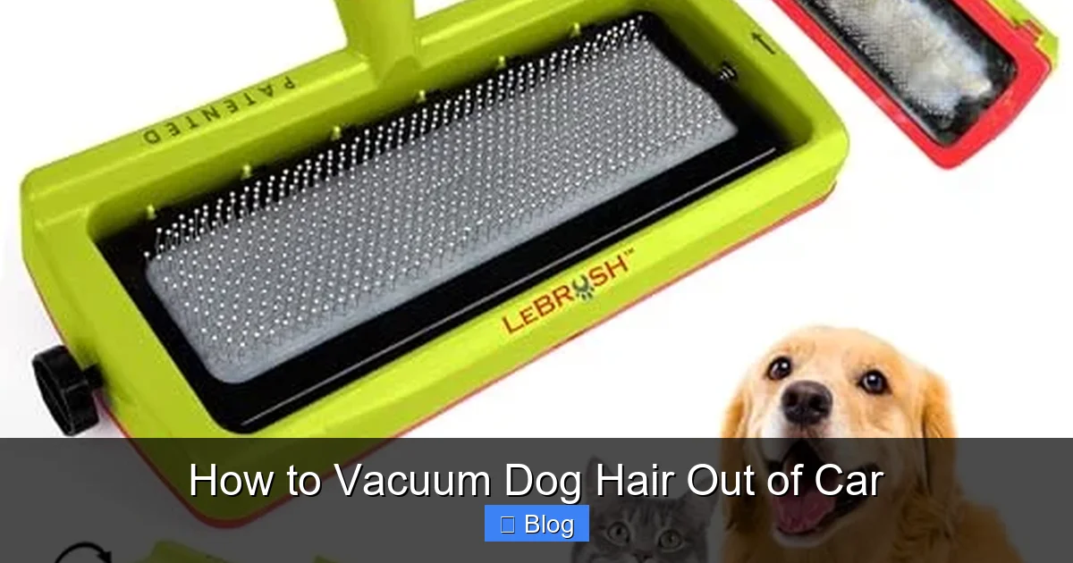 How to Vacuum Dog Hair Out of Car
