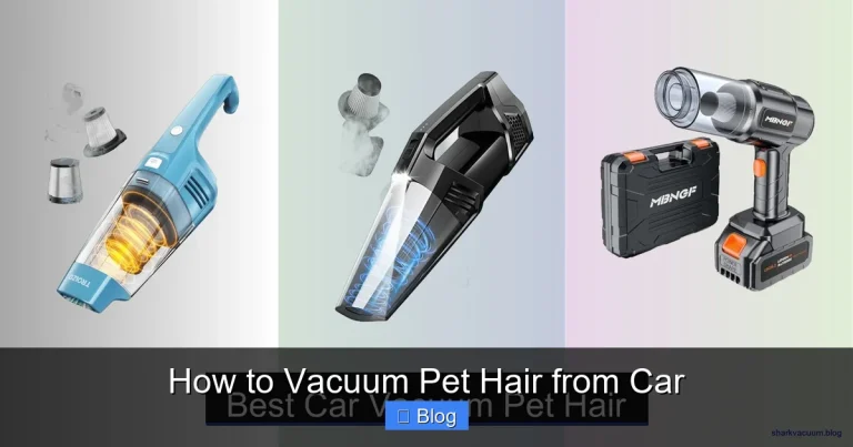 How to Vacuum Pet Hair from Car