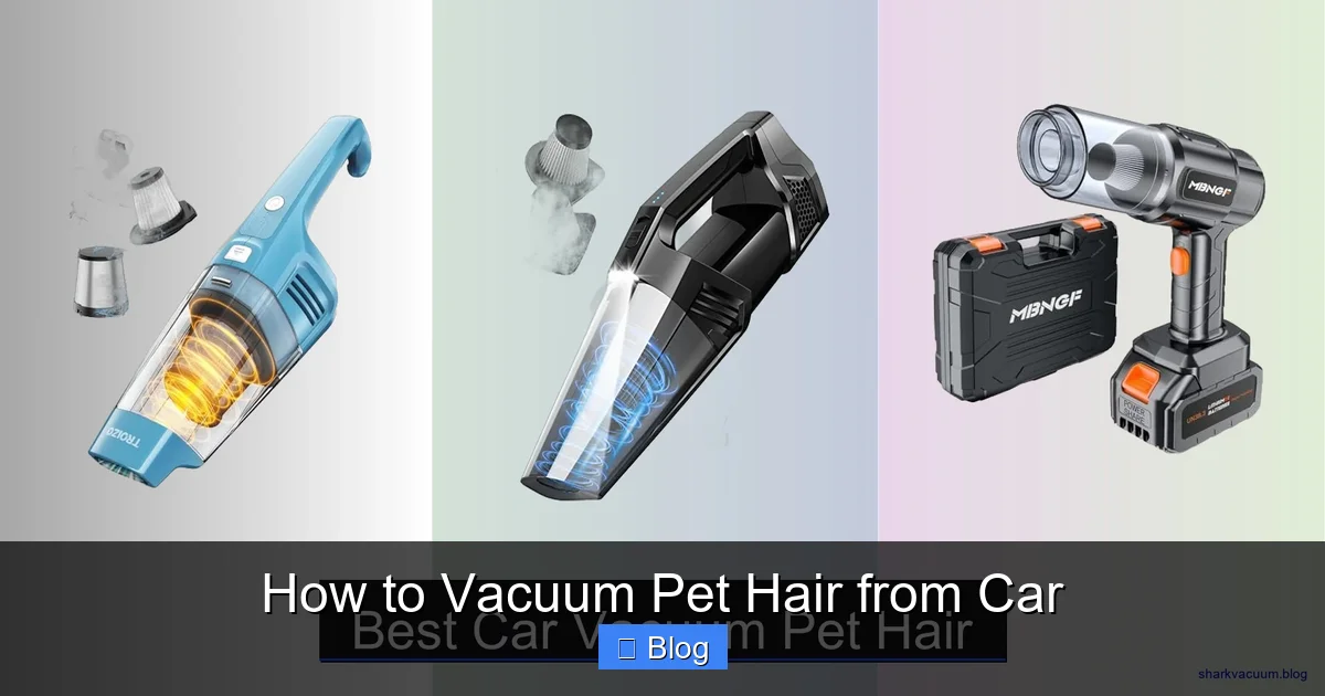 How to Vacuum Pet Hair from Car