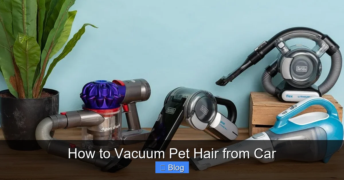 How to Vacuum Pet Hair from Car