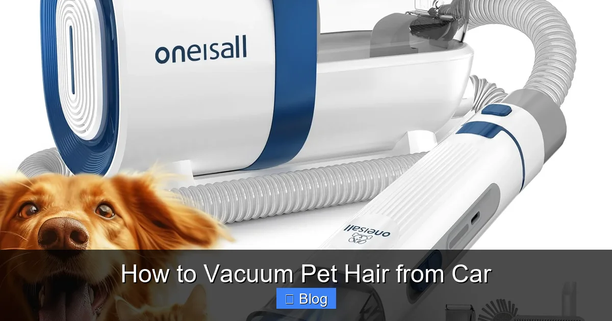 How to Vacuum Pet Hair from Car