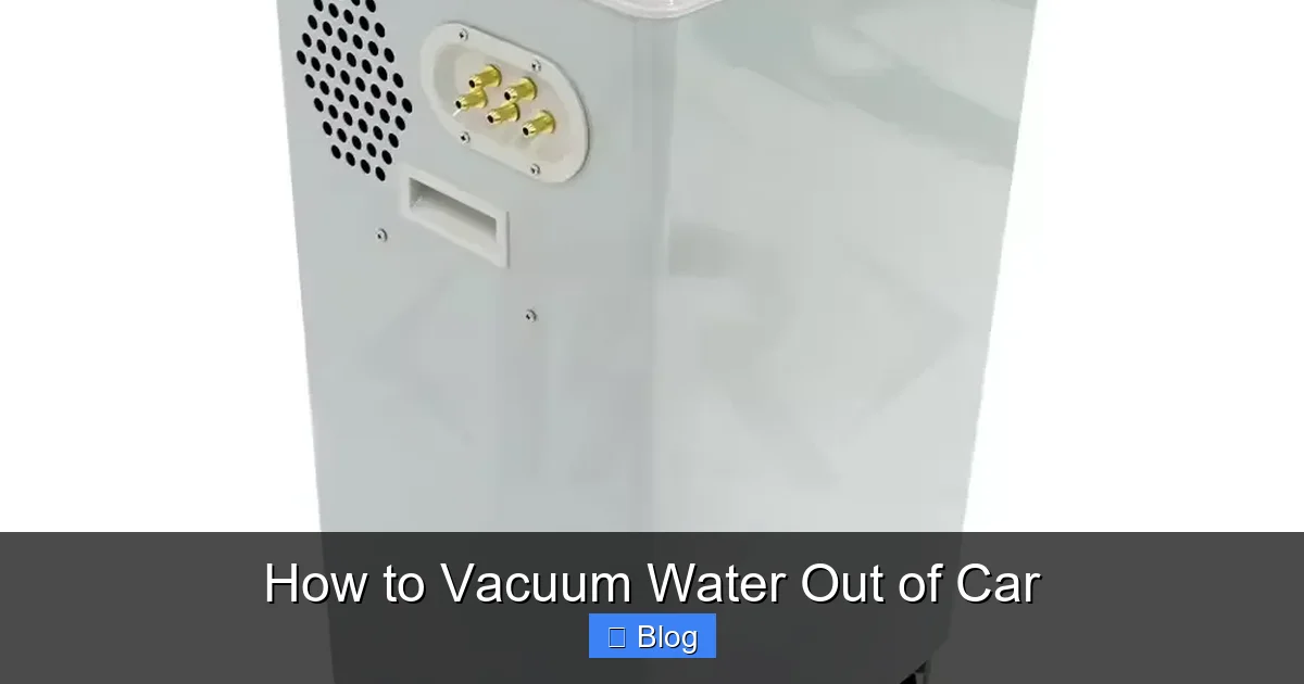 How to Vacuum Water Out of Car