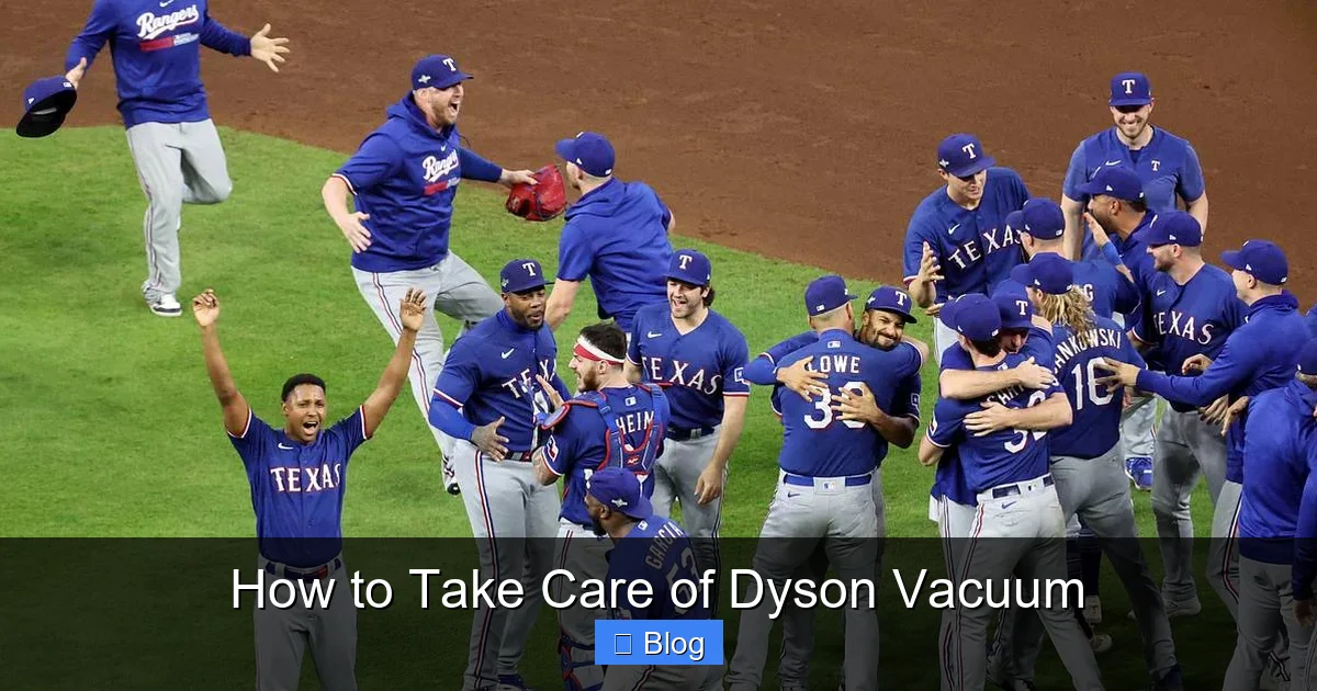 How to Take Care of Dyson Vacuum