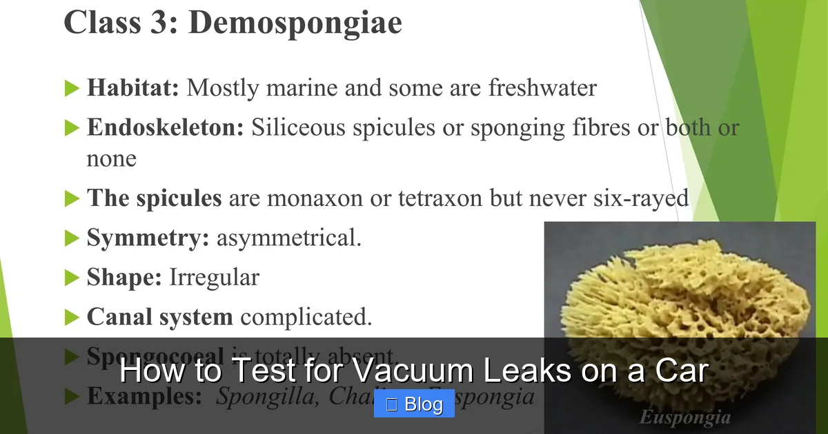 How to Test for Vacuum Leaks on a Car