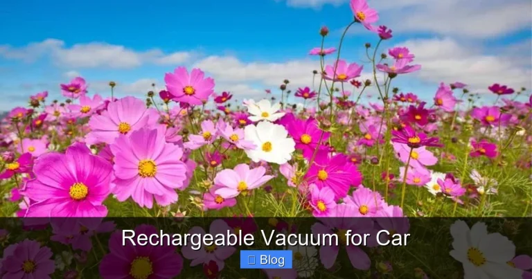 Rechargeable Vacuum for Car