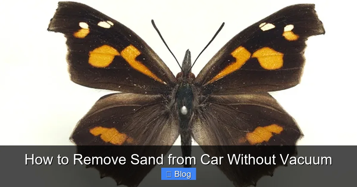 How to Remove Sand from Car Without Vacuum